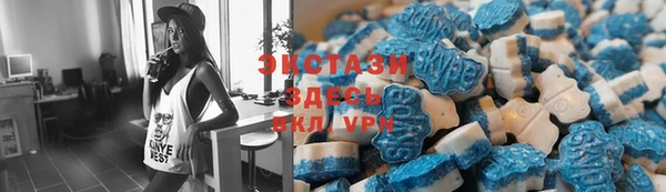 тгк Богородицк