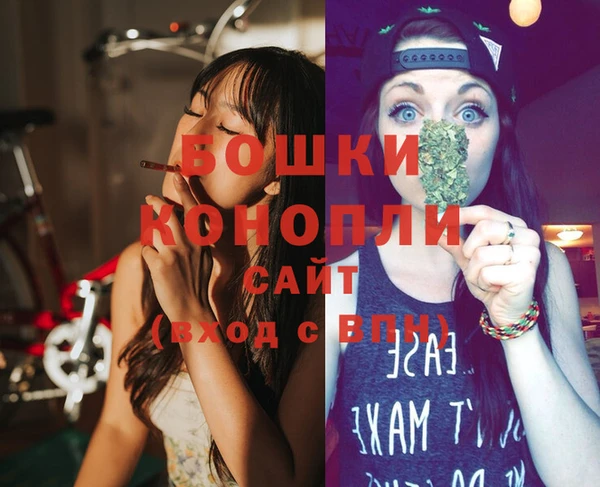 тгк Богородицк