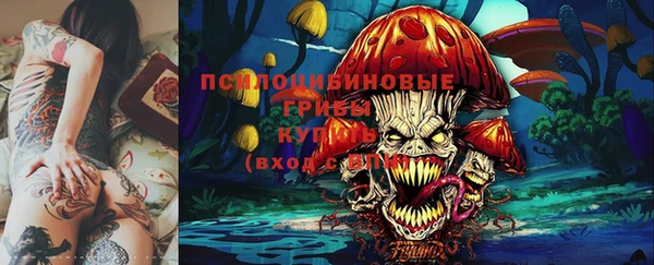 скорость Саяногорск