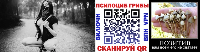 shop какой сайт  где купить наркотик  Ковылкино  Псилоцибиновые грибы ЛСД 